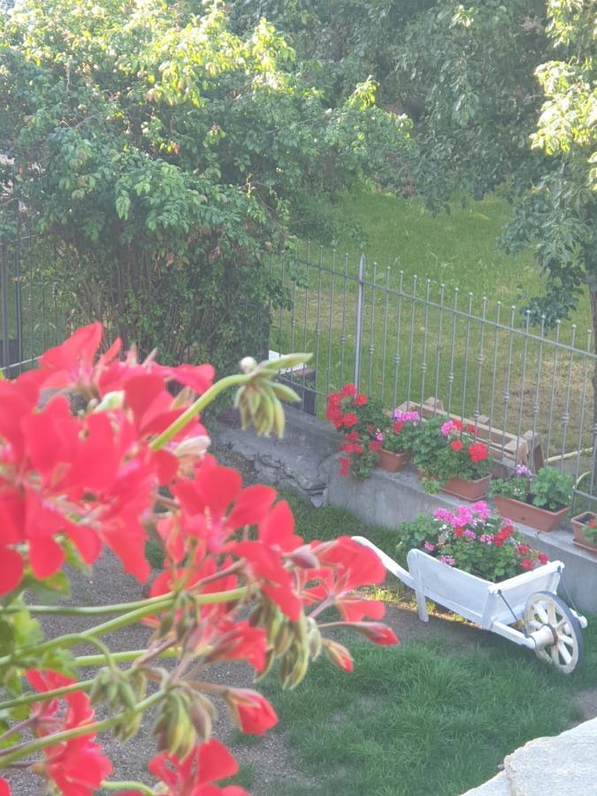 삼페이레 Antica Casa Occitana B&B 외부 사진